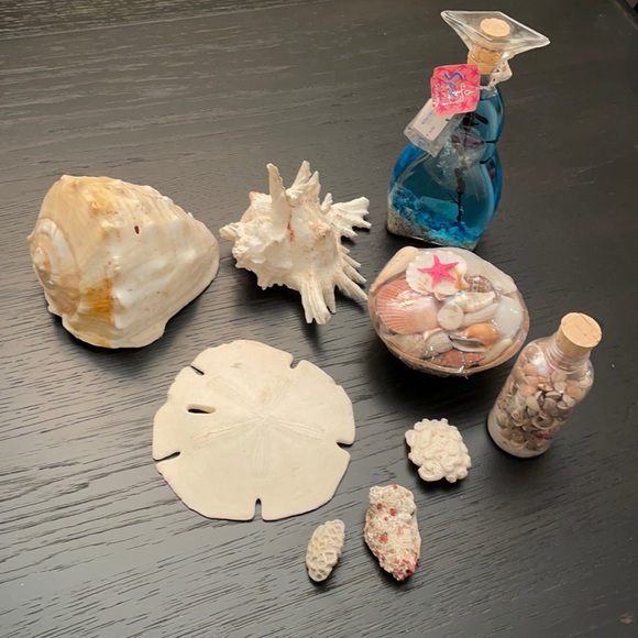 Other - Seashells and beach decor